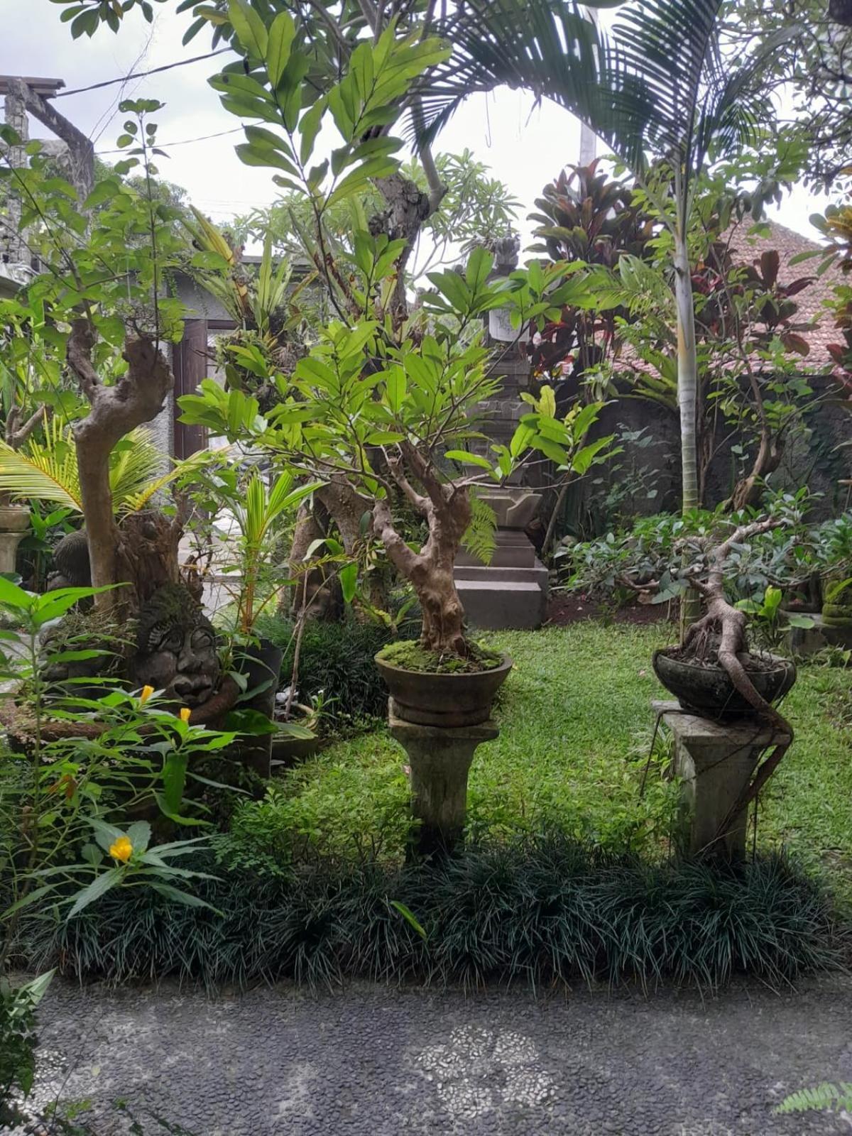 Soka Homestay Ubud Eksteriør bilde